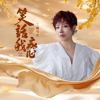 笑话我痴心 (Djbanan版 伴奏)'s cover