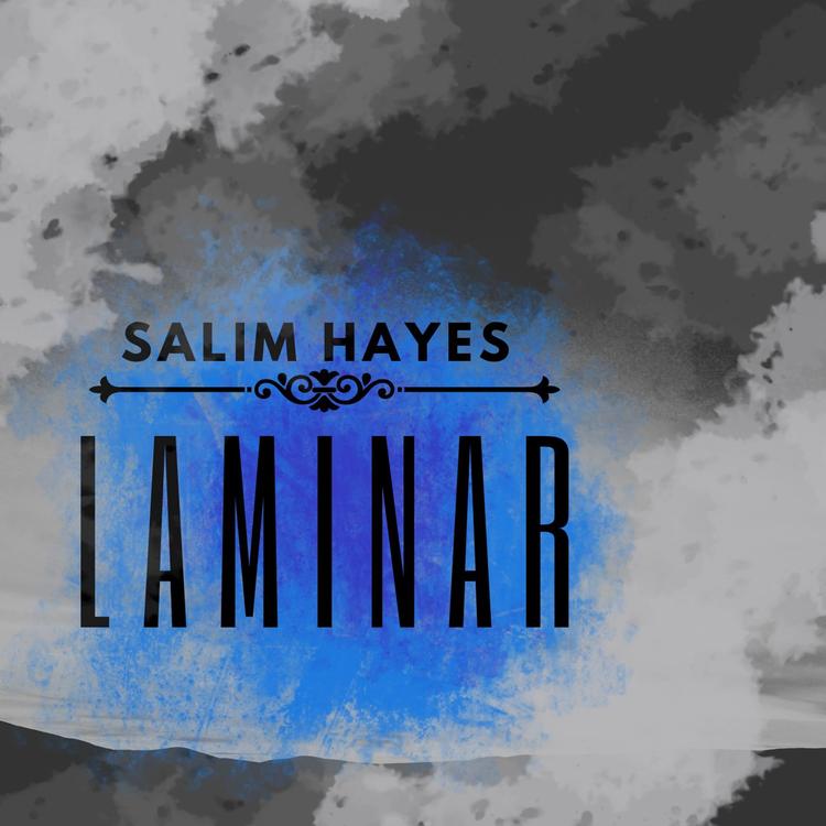 Salim Hayes's avatar image