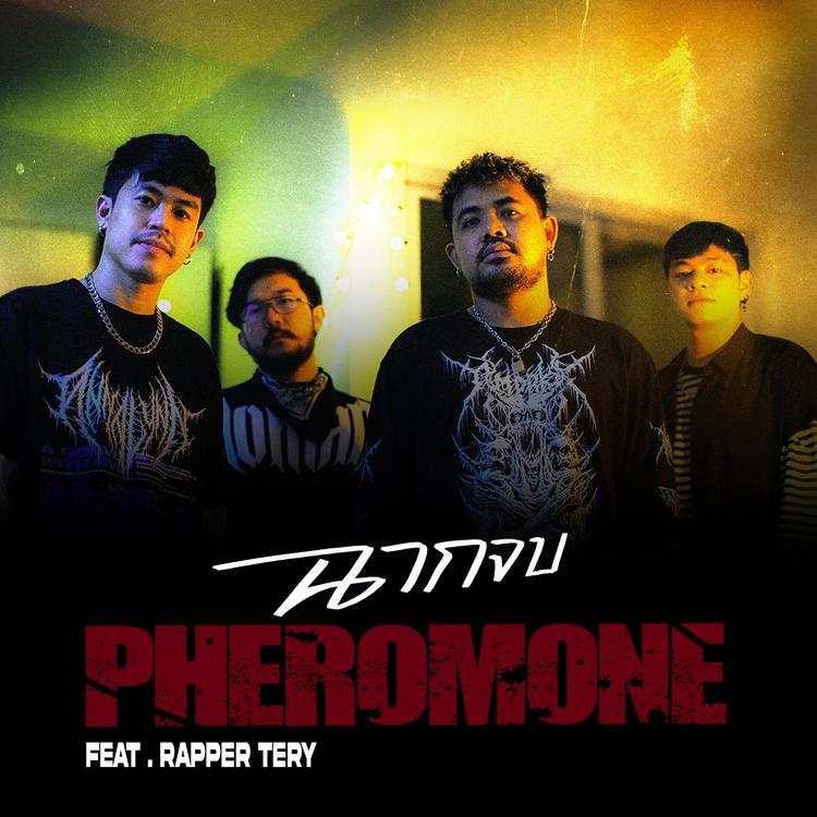 Pheromone's avatar image