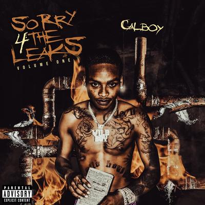 Sorry 4 The Leaks Vol. 1's cover