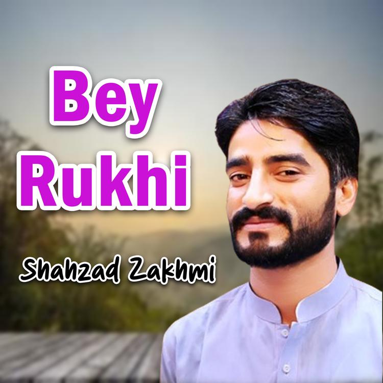 Shahzad Zakhmi's avatar image