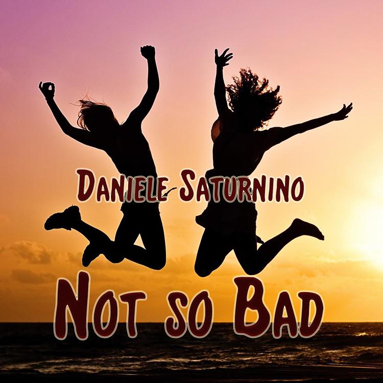 Daniele Saturnino's avatar image