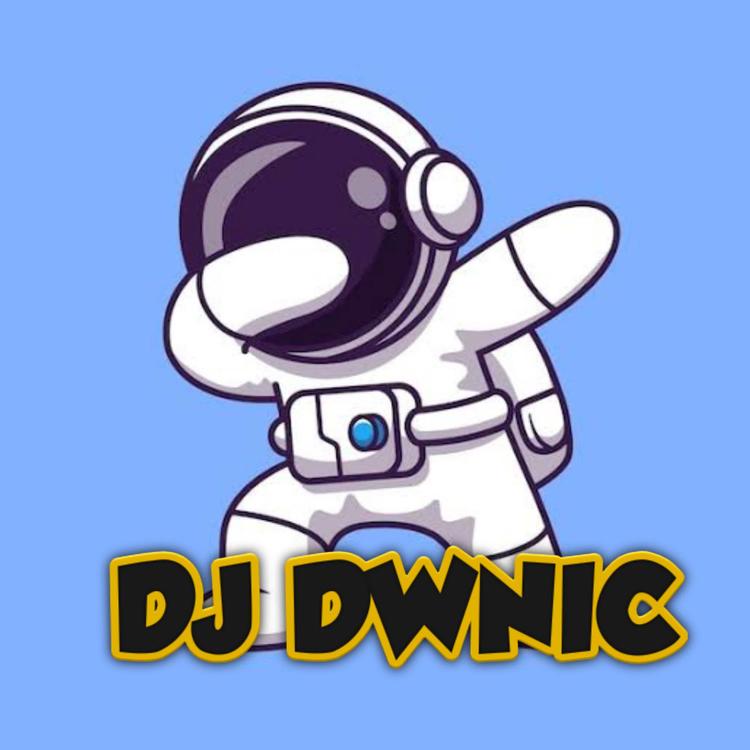 DJ DWNIC's avatar image