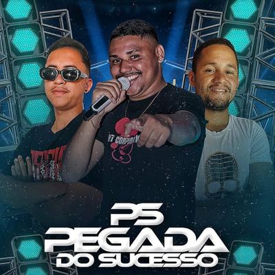 Pegada do Sucesso's cover