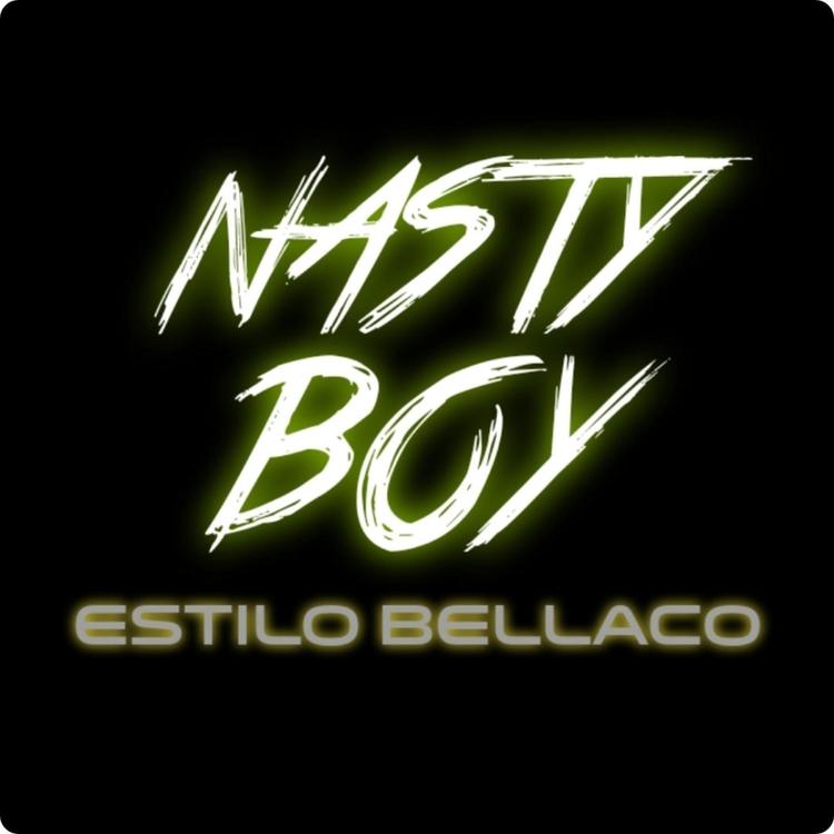 Nasty Boy's avatar image