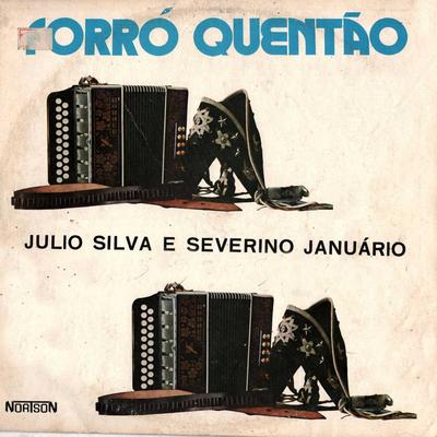 Se meu violão falasse By Severino Januario, júlio silva's cover