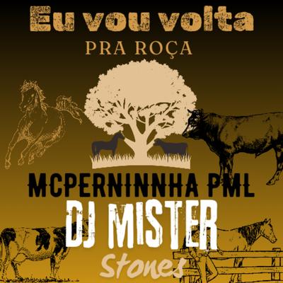 Eu Vou Voltar pra Roça's cover