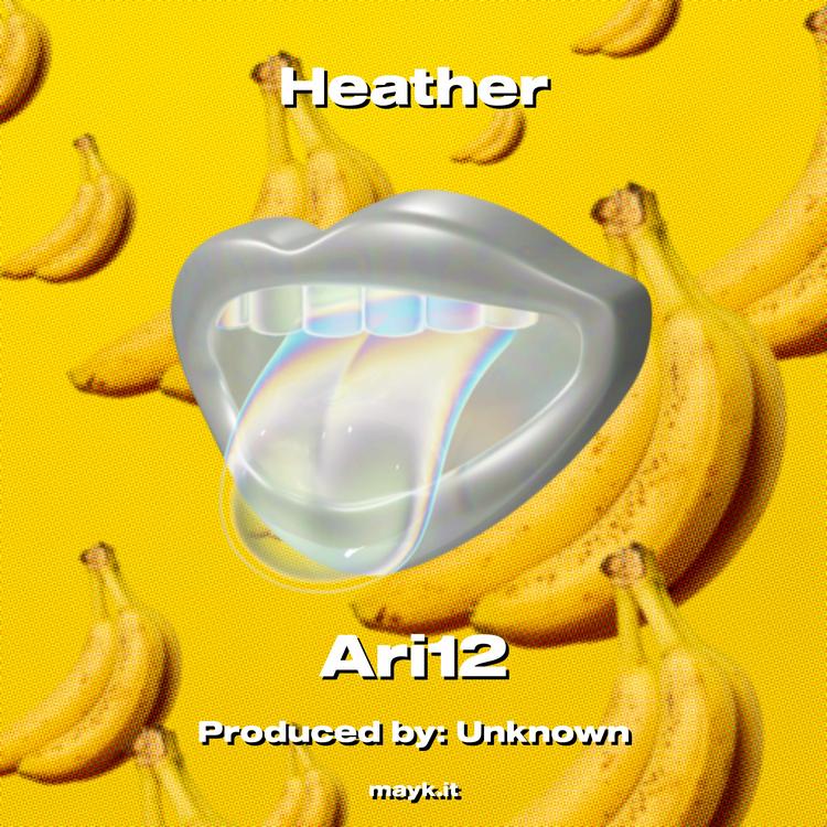 Ari12's avatar image