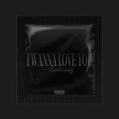 I Wanna Love You's cover