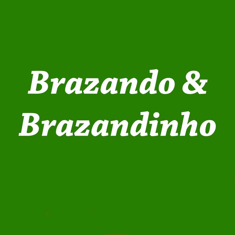 Brazando e Brazandinho's avatar image