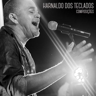Seu Amor By harnaldo dos teclados's cover