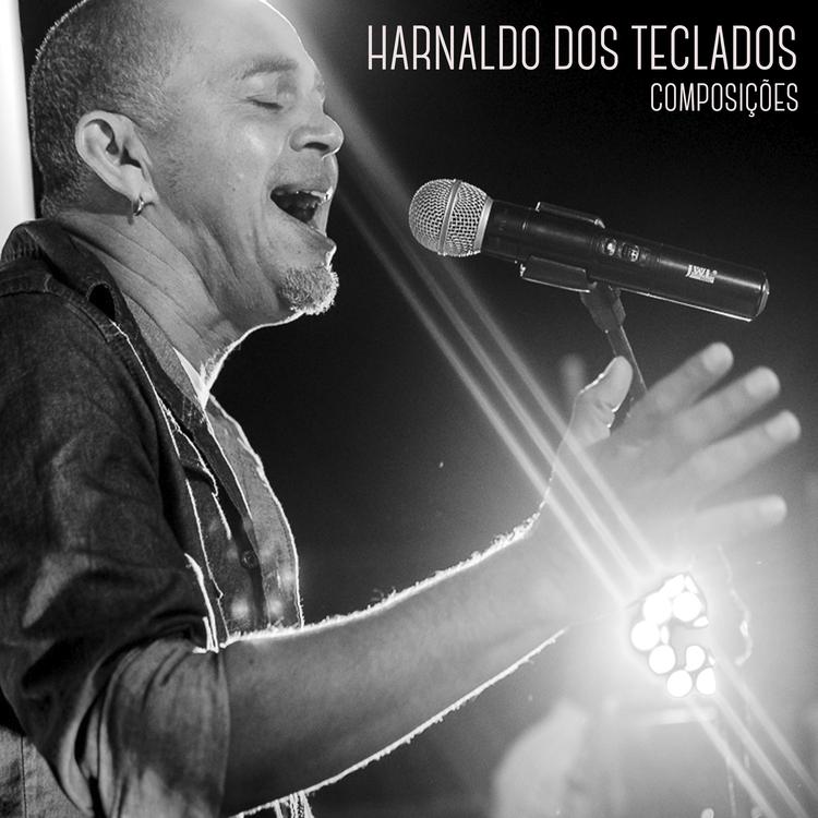 harnaldo dos teclados's avatar image