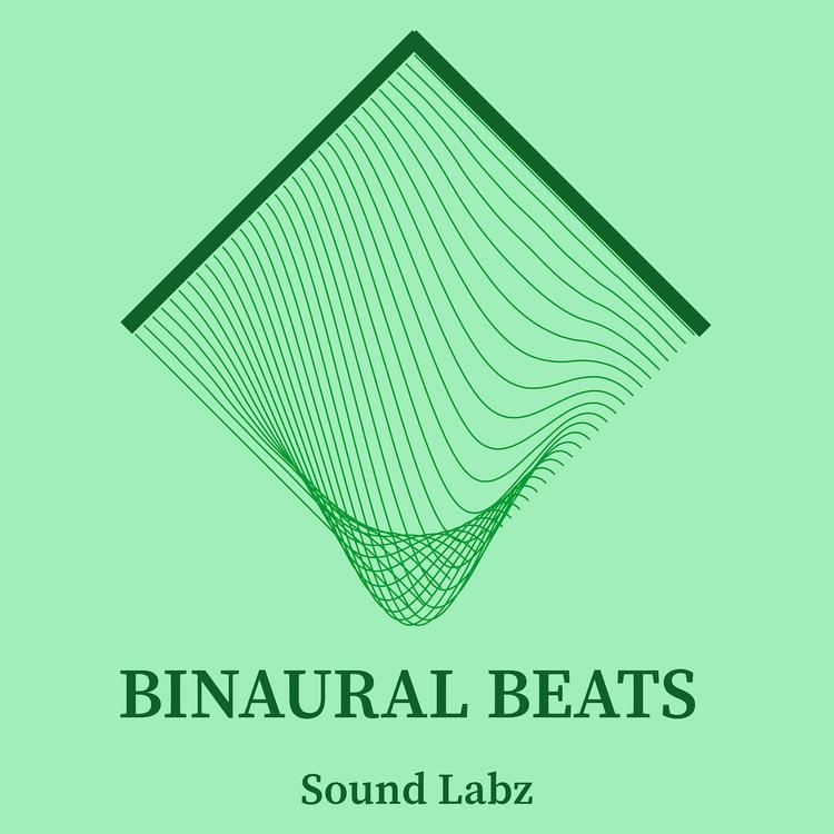 Sound Labz's avatar image