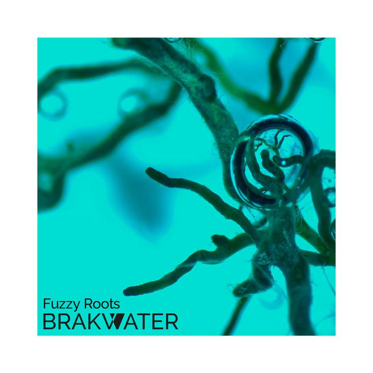 BrakWater's avatar image