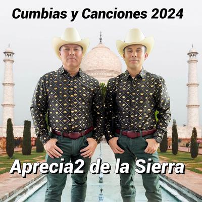 Cumbias y Canciones 2024's cover