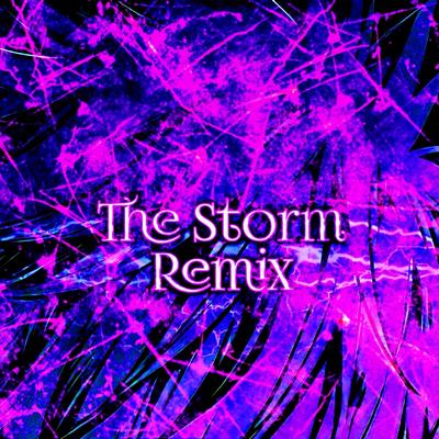 The Storm (Remix)'s cover