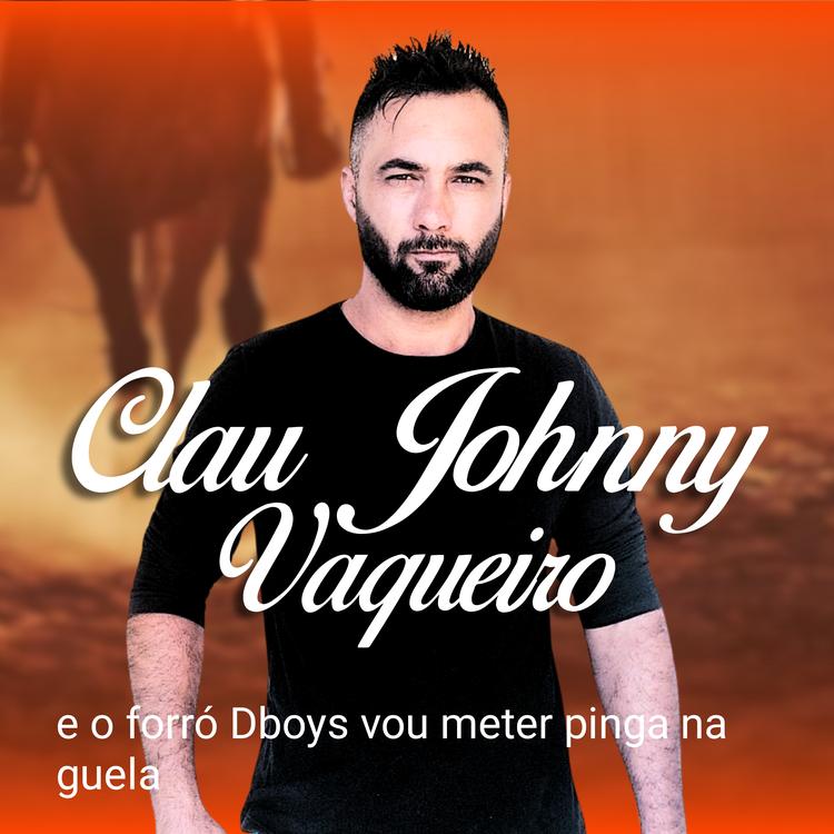 Clau johnny vaqueiro forró Dboys's avatar image