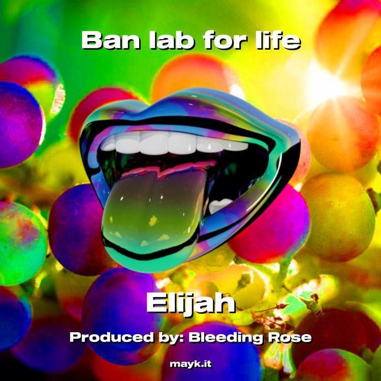 Elijah's avatar image