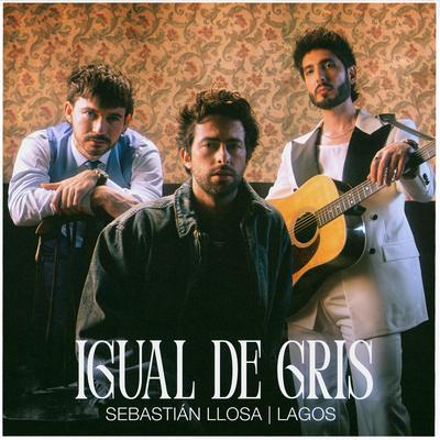 Igual de gris's cover