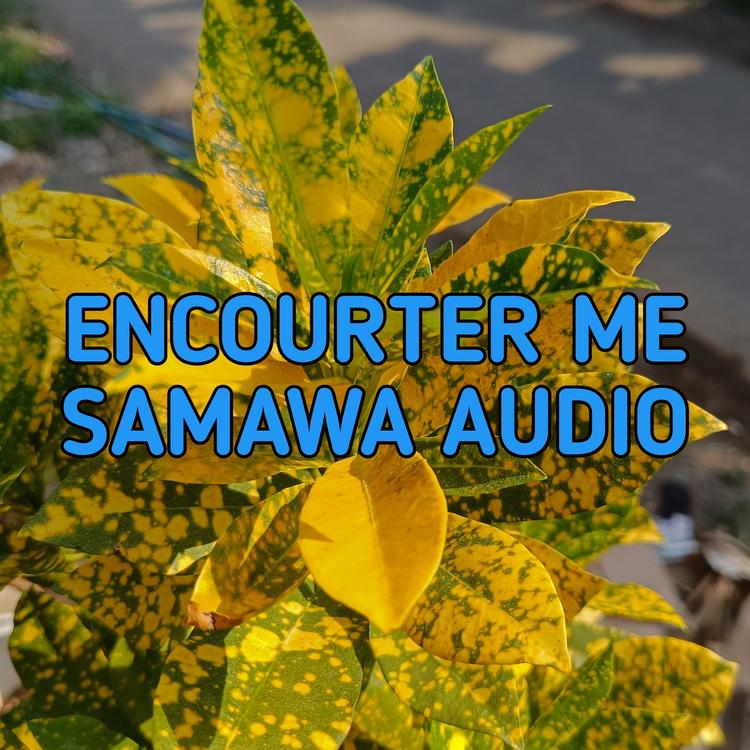 SAMAWA AUDIO's avatar image