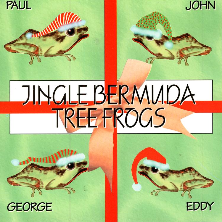 Bermuda Tree Frogs & Daune D.'s avatar image