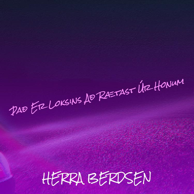 Herra Berdsen's avatar image