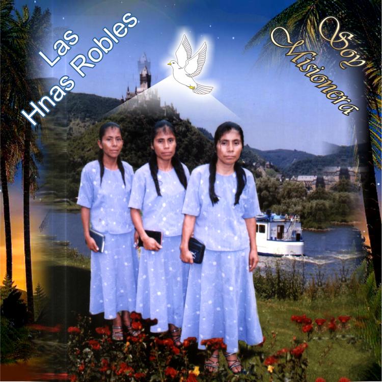 Las Hermanas Robles's avatar image