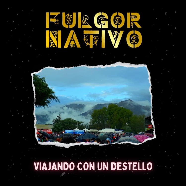 Fulgor Nativo's avatar image