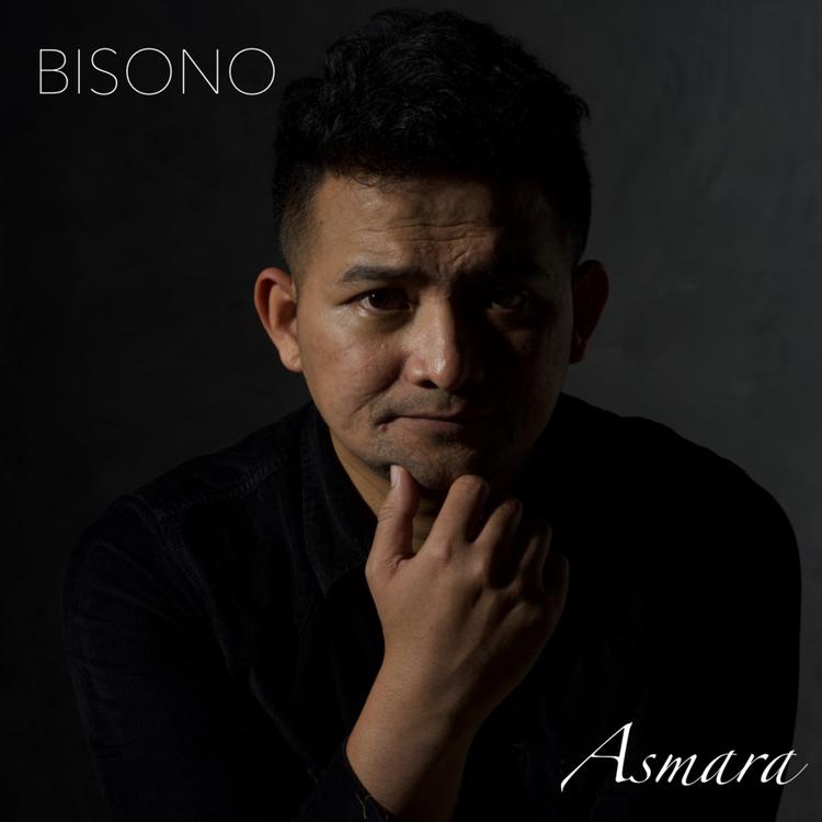 Bisono's avatar image