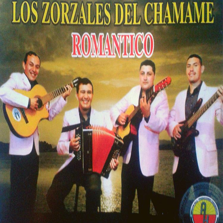 Los zorzales del chamame romantico's avatar image