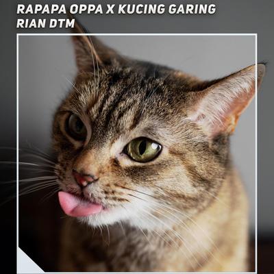 Rapapa Oppa X Kucing Garing's cover