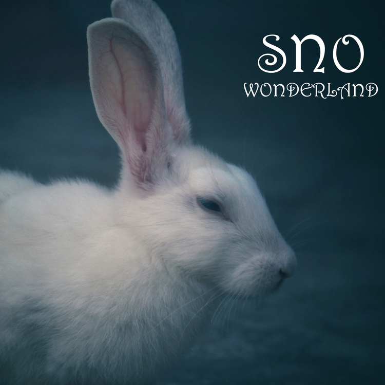 SNO's avatar image