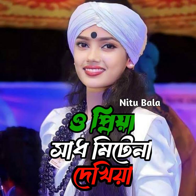 Nitu Bala's avatar image