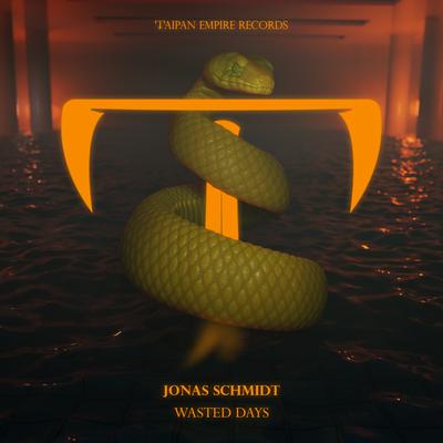Jonas Schmidt's cover