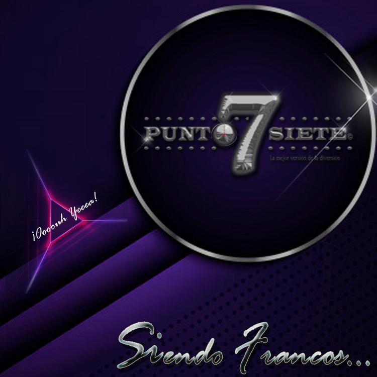 Punto 7's avatar image