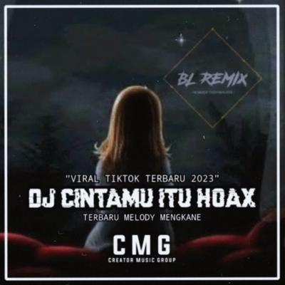 DJ CINTAMU ITU HOAK REMIX's cover