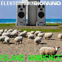 ElektRoman The Biomind's avatar cover