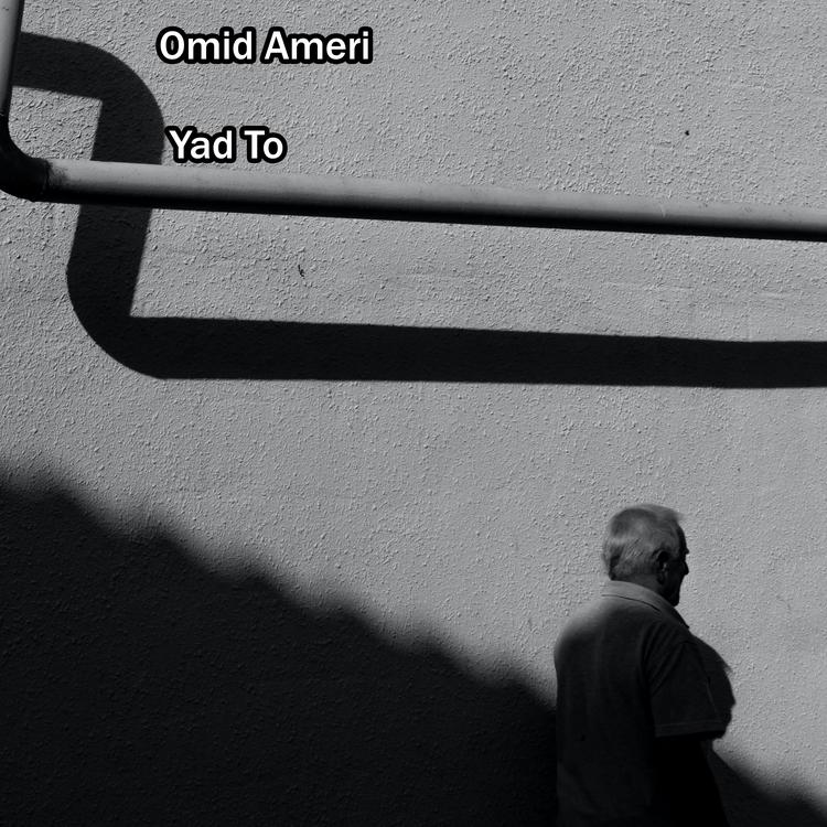 Omid Ameri's avatar image