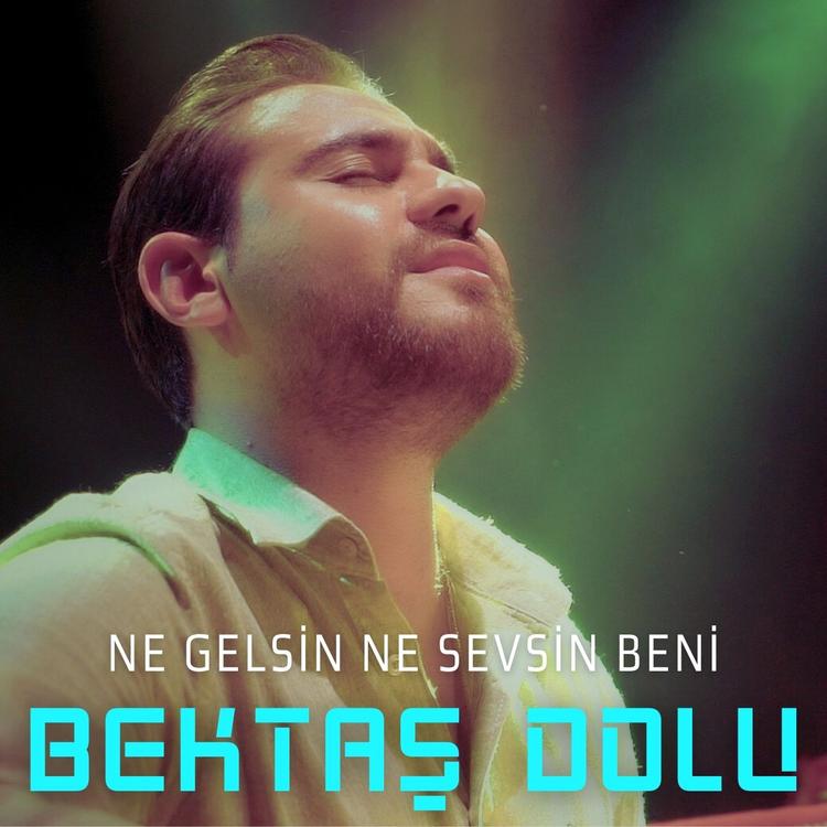 Bektaş Dolu's avatar image