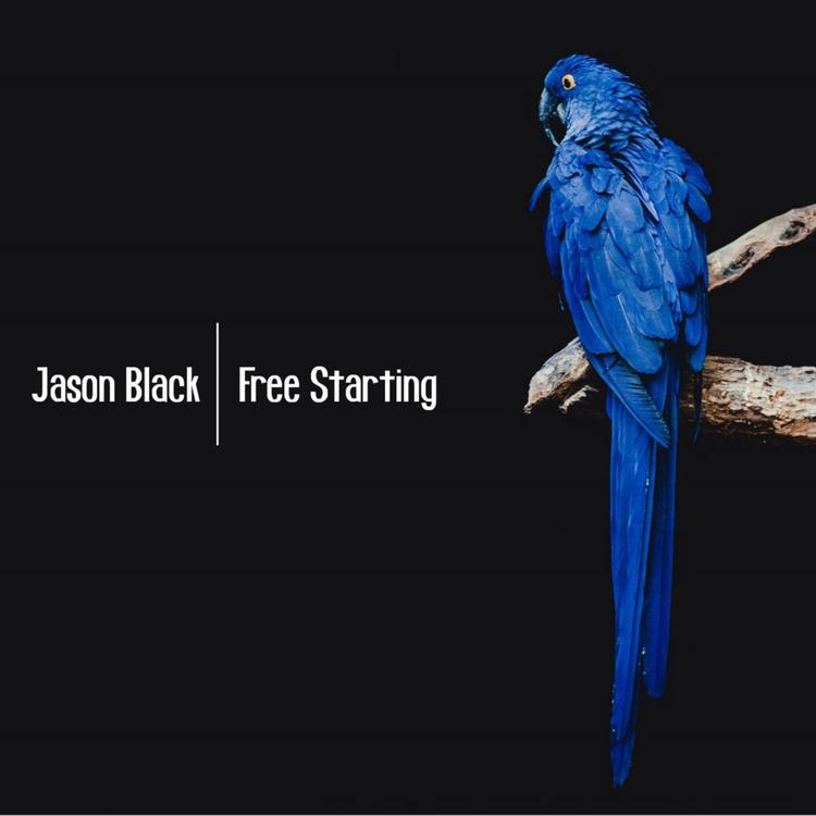 Jason Black's avatar image