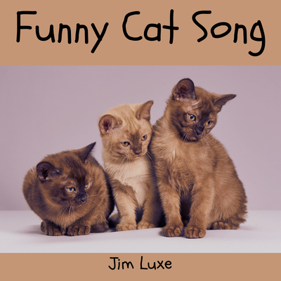 Funny Cat Song's cover