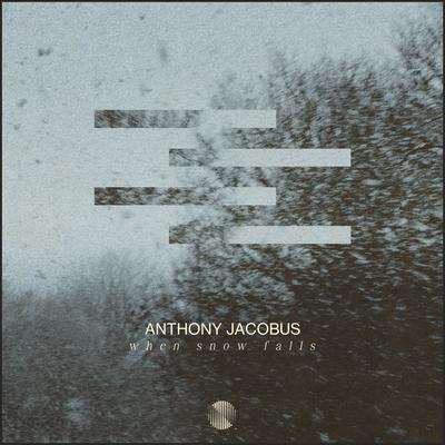 When Snow Falls By Anthony Jacobus's cover