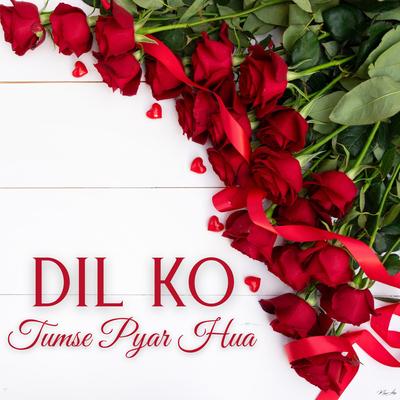 Dil Ko Tumse Pyar Hua's cover