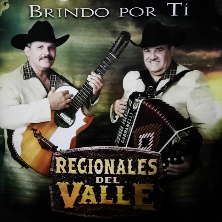 REGIONALES DEL VALLE's avatar image