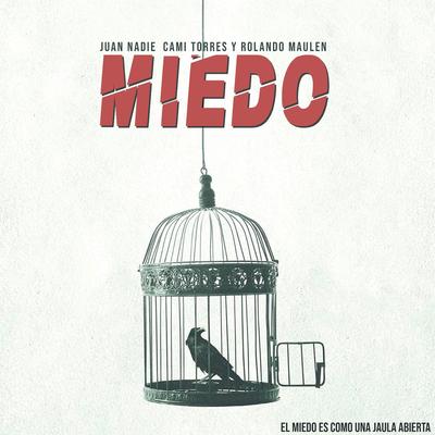 Miedo's cover