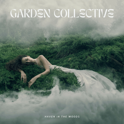 Haven in the Woods's cover