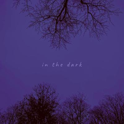 in the dark By Anica's cover