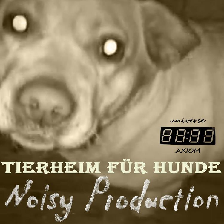 Noisy Production's avatar image