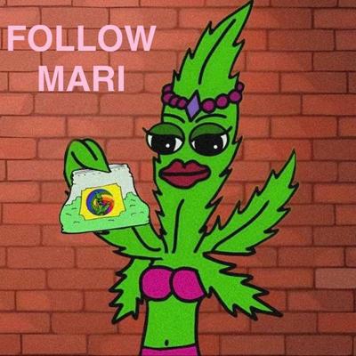 Follow Mari's cover