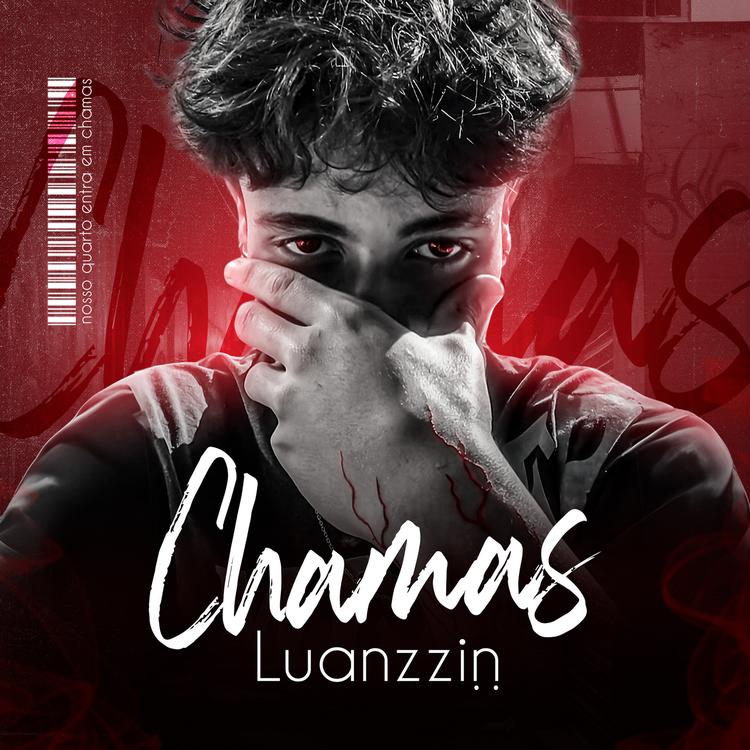 Luanzzin's avatar image